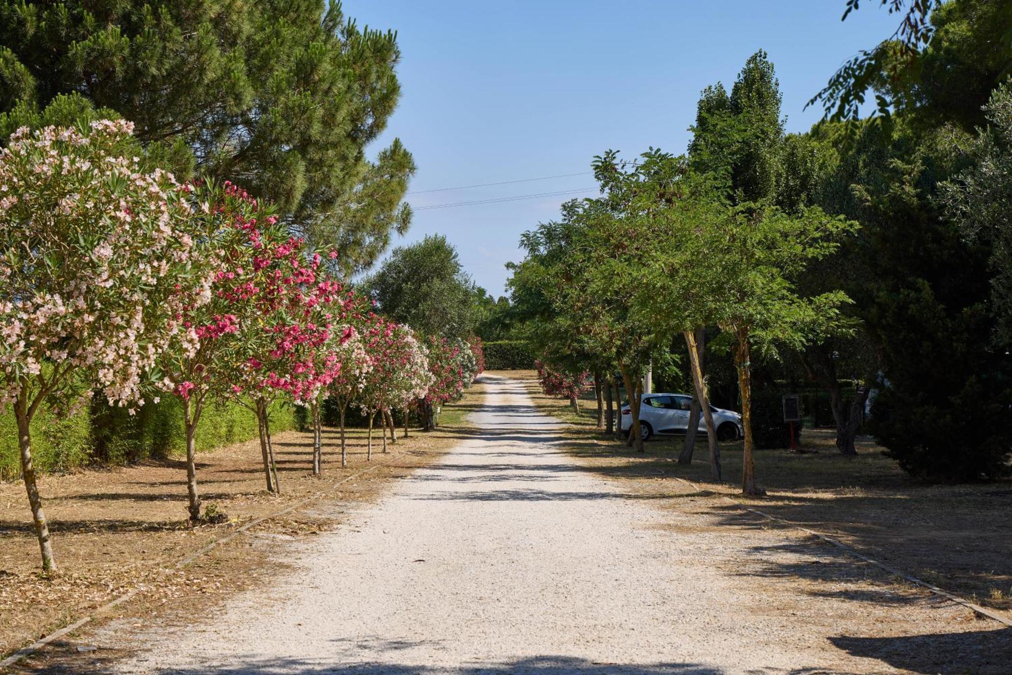 Costa D'Argento - Camping Village Club Capalbio Kültér fotó