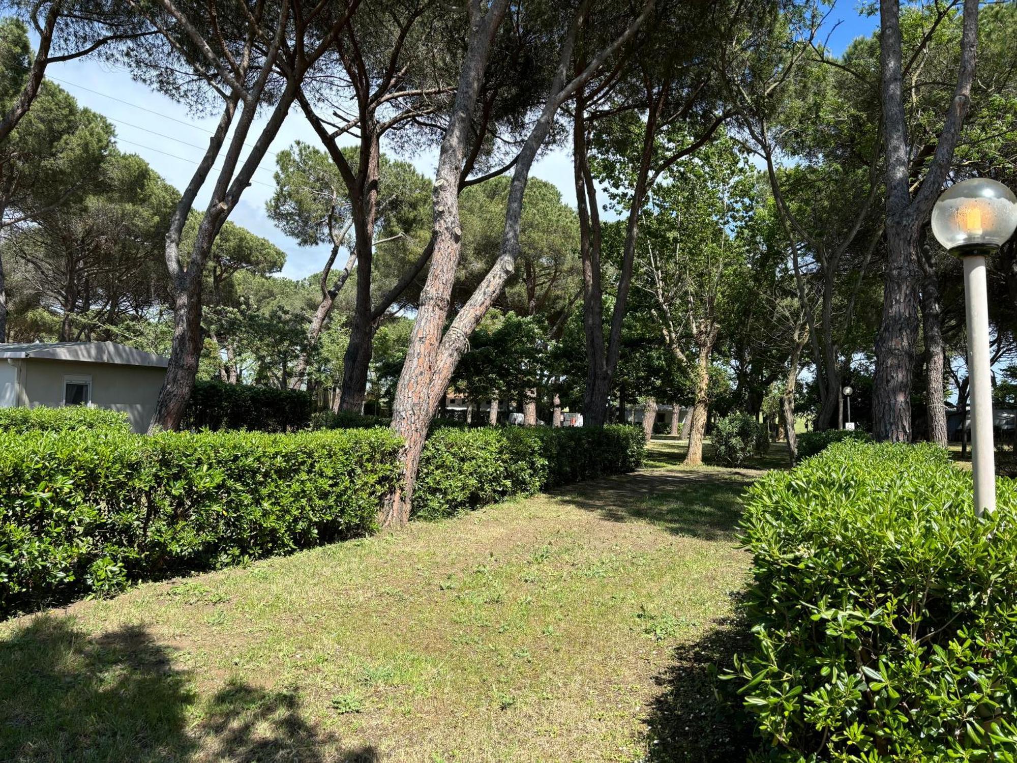 Costa D'Argento - Camping Village Club Capalbio Kültér fotó