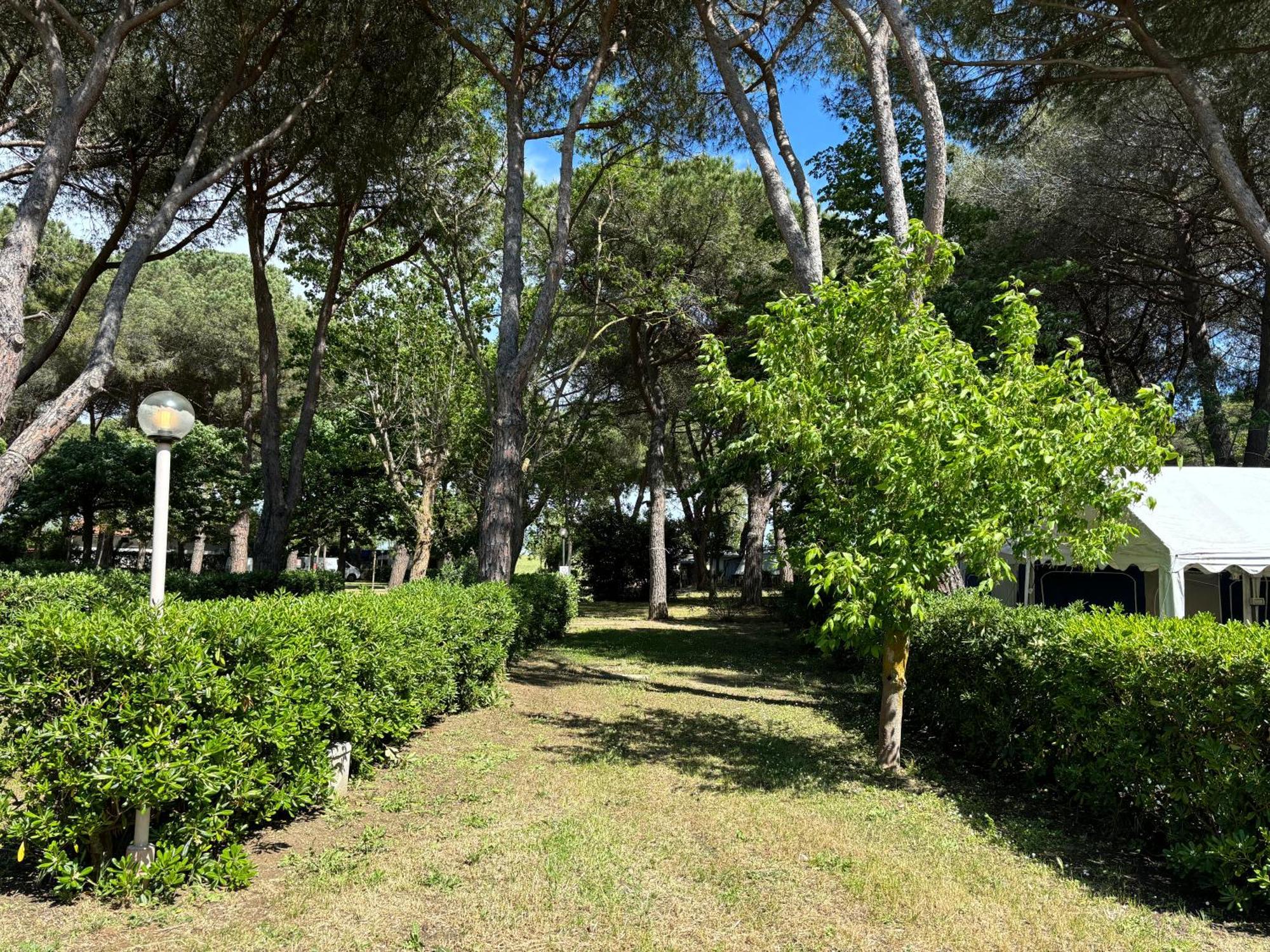 Costa D'Argento - Camping Village Club Capalbio Kültér fotó